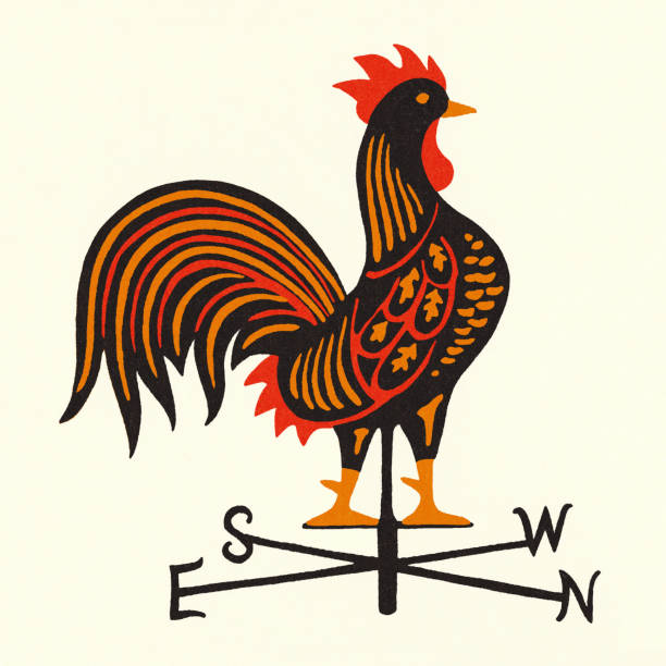 kogut weathervane - weather vane stock illustrations