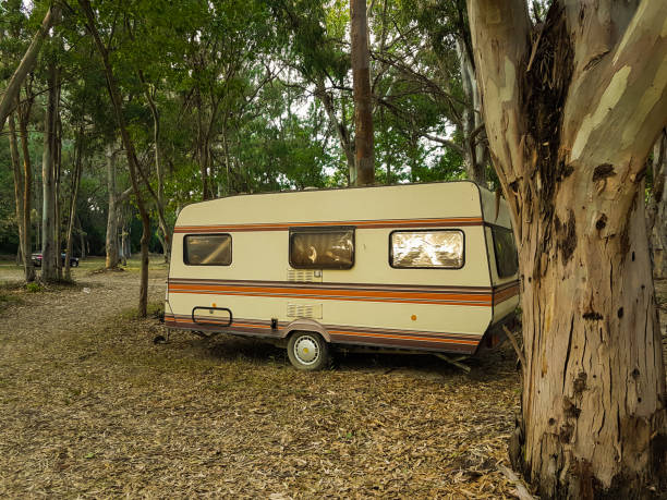 istock campinng tent forest caravan trailer  summer season 1003291416