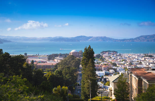 istock Presidio - San Francisco - California 1003297622