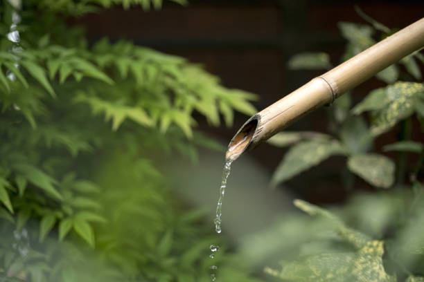 istock Bamboo water fountain in nature background 1003300592