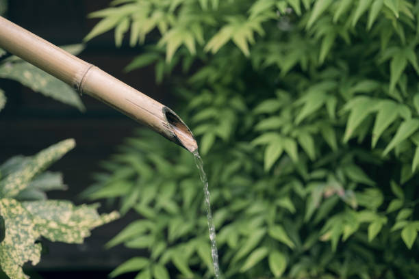 istock Bamboo water fountain in nature background 1003300604