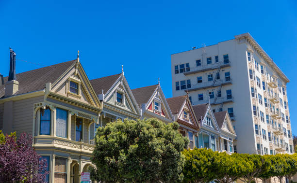 istock San Francisco Painted Ladies 1003302924