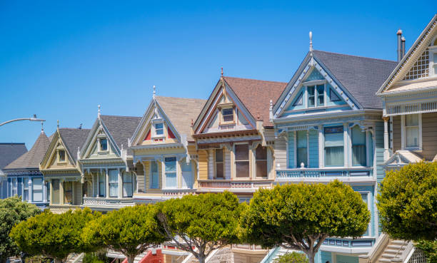 istock San Francisco Painted Ladies 1003302958