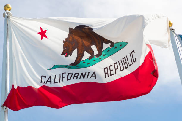 istock California Republic Flag 1003303262
