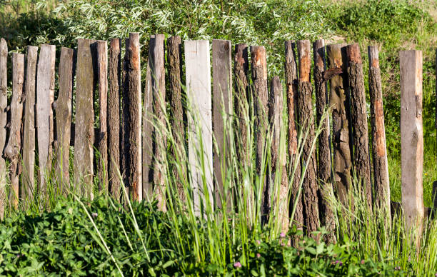 istock wooden fence field grass 1003303806