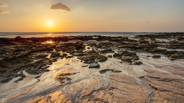 istock Beach in golden sunset light during low tide showing sand formations and rocks not covered by the sea. Kantiang Bay, Ko Lanta, Thailand. 1003303940