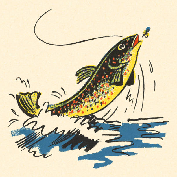 ilustraciones, imágenes clip art, dibujos animados e iconos de stock de peces saltando fuera del agua - anzuelo de pesca ilustraciones
