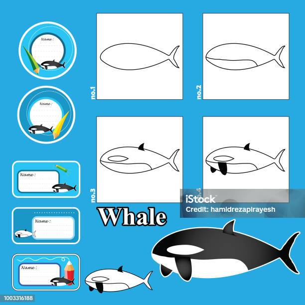 Ilustración de Tutorial De Dibujo Paso A Paso Juego Visual De Animales Kidsfunny Y Etiquetas Y Las Etiquetas Cómo Dibujar Una Ballena y más Vectores Libres de Derechos de Animal - iStock Ilustración de Tutorial De Dibujo Paso A Paso Juego Visual De Animales Kidsfunny Y Etiquetas Y Las Etiquetas Cómo Dibujar Una Ballena y más Vectores Libres de Derechos de Animal - iStock
