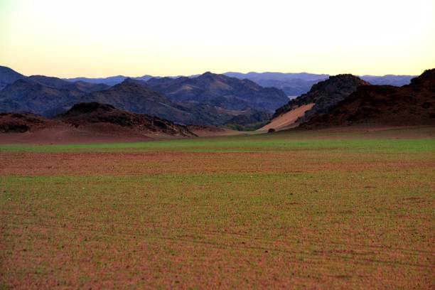 雨の後のナミビア - landscape panoramic kalahari desert namibia ストックフォトと画像