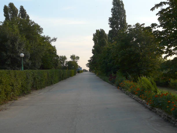 istock The asphalted path in the park goes into the distance with the g 1003340164