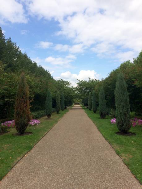 istock Regent's Park London 1003342550