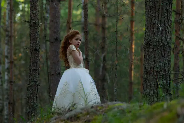 Little princess walks in an evening dress in a summer forest, natural light