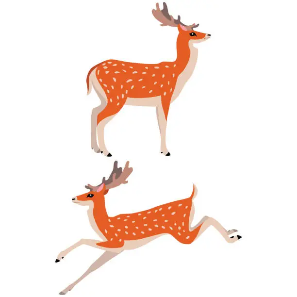 Vector illustration of Two deer