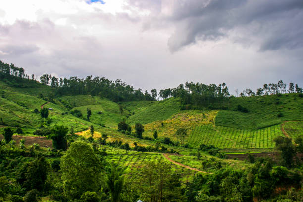 istock Northern Thai agricultural landscapes and scenery 1003356978