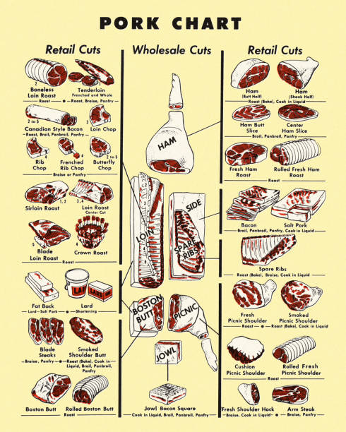 ilustrações de stock, clip art, desenhos animados e ícones de pork chart - steak pork chop bacon