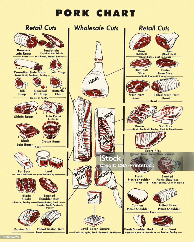 Pork Ruler Pork Chart Stock Illustration - Download Image Now - Chart, Food, Meat ...