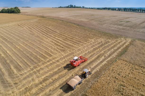 istock Aerial drone view of harvester combine working on field. 1003357966