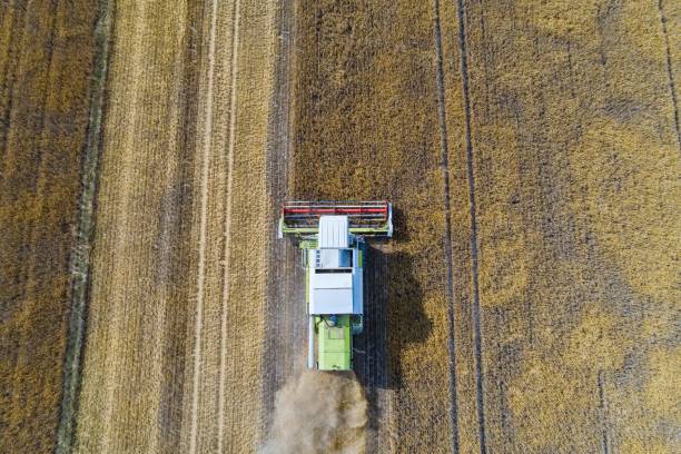 istock Aerial drone view of harvester combine working on field. 1003358040