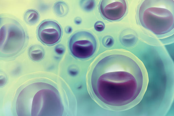 istock Cells with nucleus on scientific background 1003358158