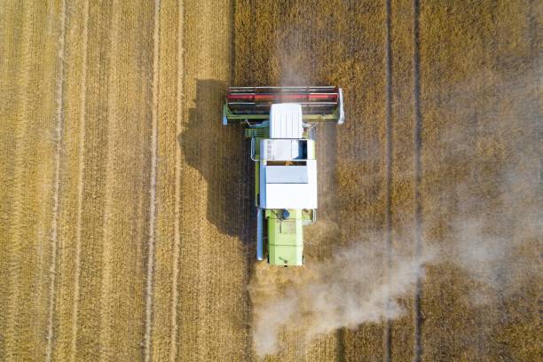istock Aerial view of harvester combine working on field 1003358250