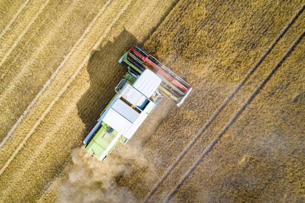 istock Aerial view of harvester combine working on field 1003358284
