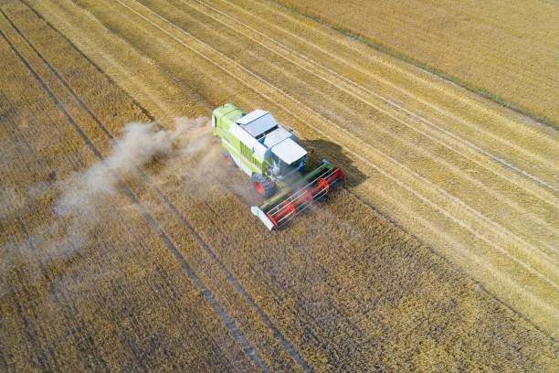 istock Aerial view of harvester combine working on field 1003358304