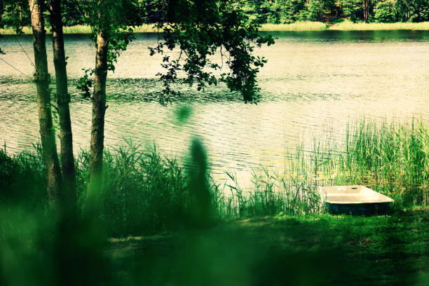 istock River landscape, tree, boat. Pure nature background. Summer concept 1003368158