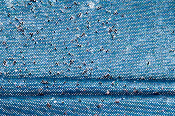 istock Texture, background, pattern. Silk fabric of blue color embroidered with sequins, sparkles reflects the rays of the sun 1003368514