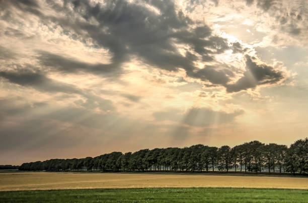 Spectacular skies over fields with a tree- lined dike in a polder landscape on the island of IJsselmonde, just south of Rotterdam.