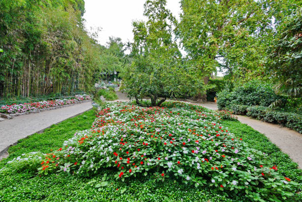 istock small colored flowers on the flowerbed in an exotic park with paths 1003376686