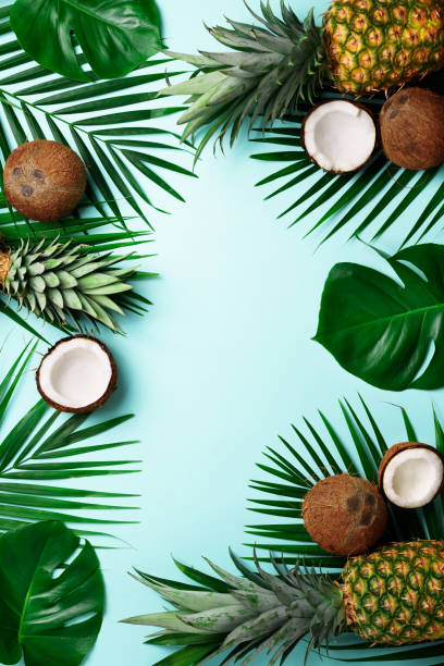 istock Exotic pineapples, ripe coconuts, tropical palm and green monstera leaves on blue background with copyspace for your text. Creative layout. Summer concept. Flat lay, top view 1003381072