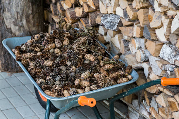 legna da ardere per camino e pigna nel carrello - houl foto e immagini stock