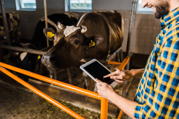 istock cropped image of farmer using tablet in stable with cows 1003389526