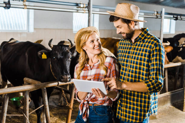 istock smiling couple of farmers using tablet in stable with cows 1003389610