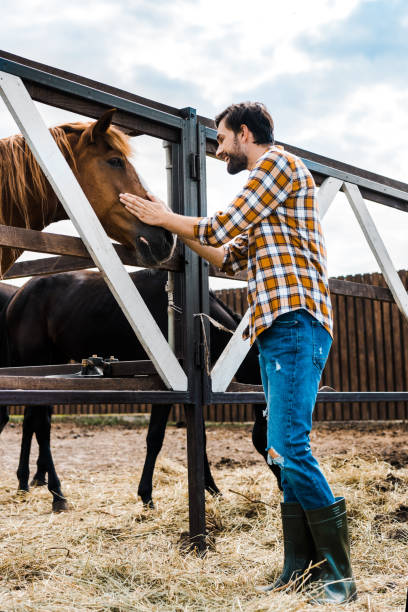 istock side view of handsome smiling farmer palming horse in stable 1003389724