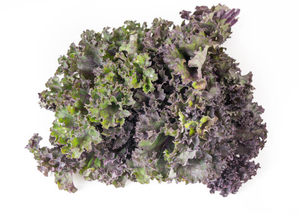 istock Organic red green kale 1003394324