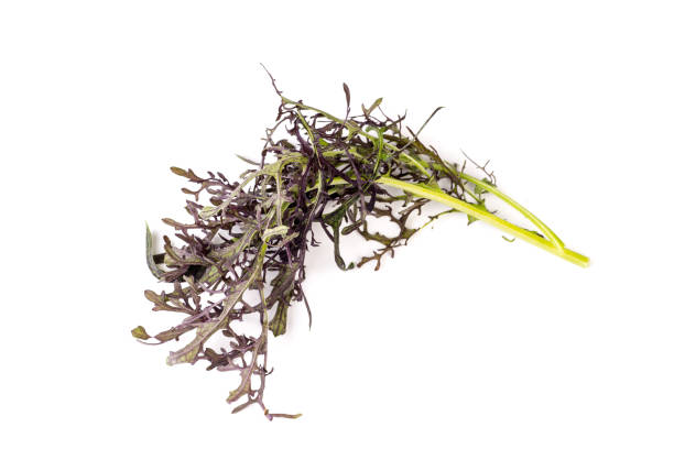 istock Wasabina, Red Mustard leaves 1003394922
