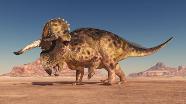 istock Dinosaur Nasutoceratops in the desert 1003395878
