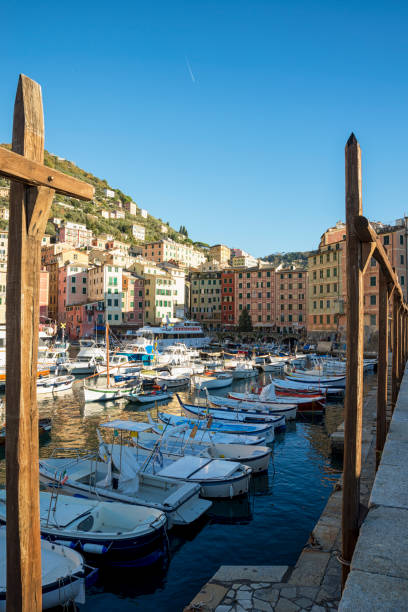 istock Fisherman's village of Camogli 1003402892