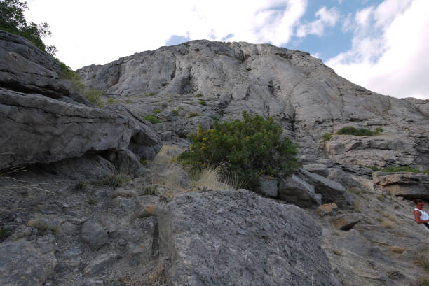 istock Large rocky rock mountains with small green bushes and trees on them 1003408946