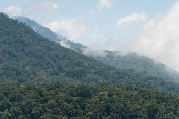 istock Mountains in the clouds. Bali,Indonesia 1003415990