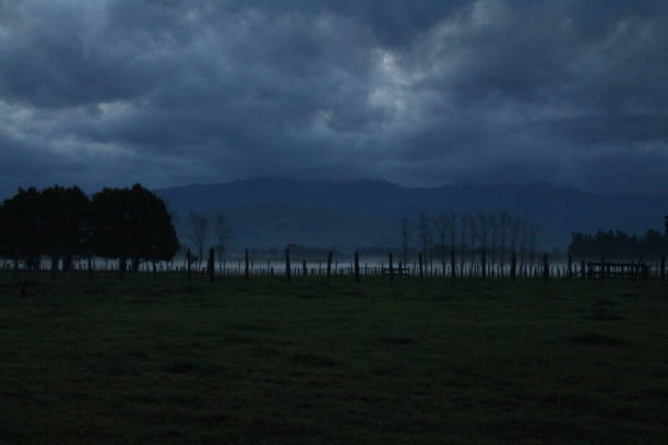 istock Winter evening with evergreen trees standing in misty fields in front of mountains 1003426168