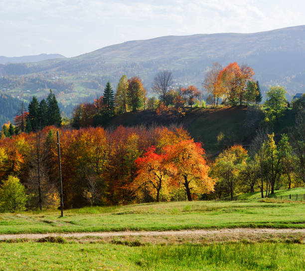 istock Autumn landscape in a mountain village 1003427138