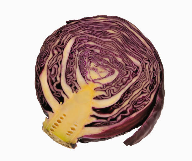 red cabbage stock photo