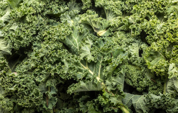 istock A healthy fresh curly kale 1003440566