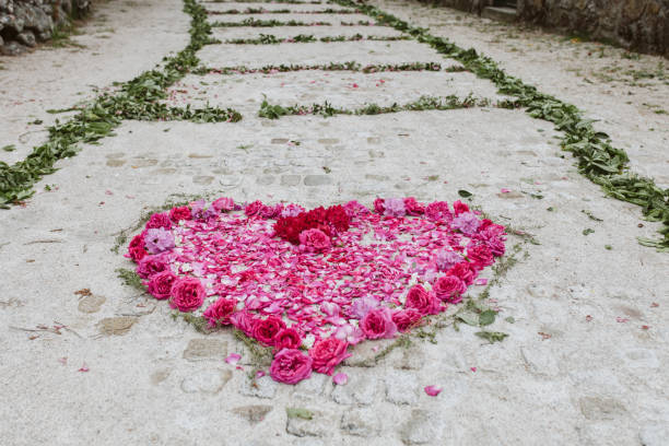istock High Angle View Of Pink Flowers In Heart Shape On Footpath 1003446364