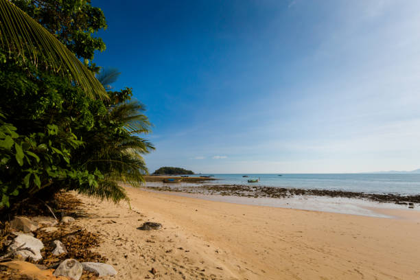 istock Tup Kaek beach in Krabi 1003457238