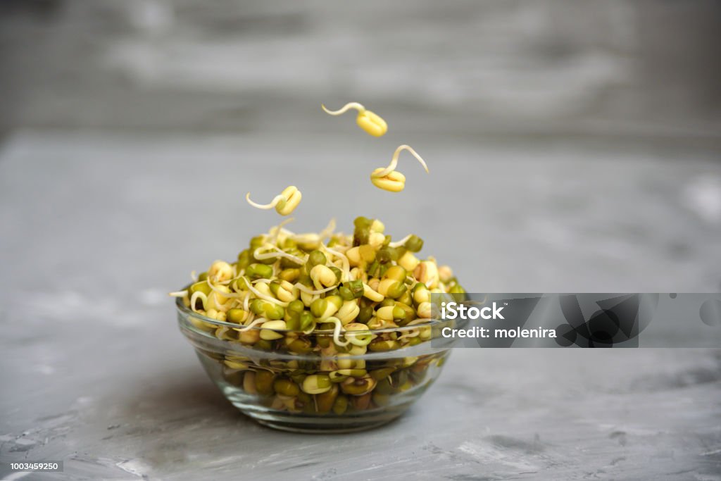 Bowl with mung bean with sprouts Bowl with mung bean with sprouts.Close up on grey concrete background Bean Sprout Stock Photo