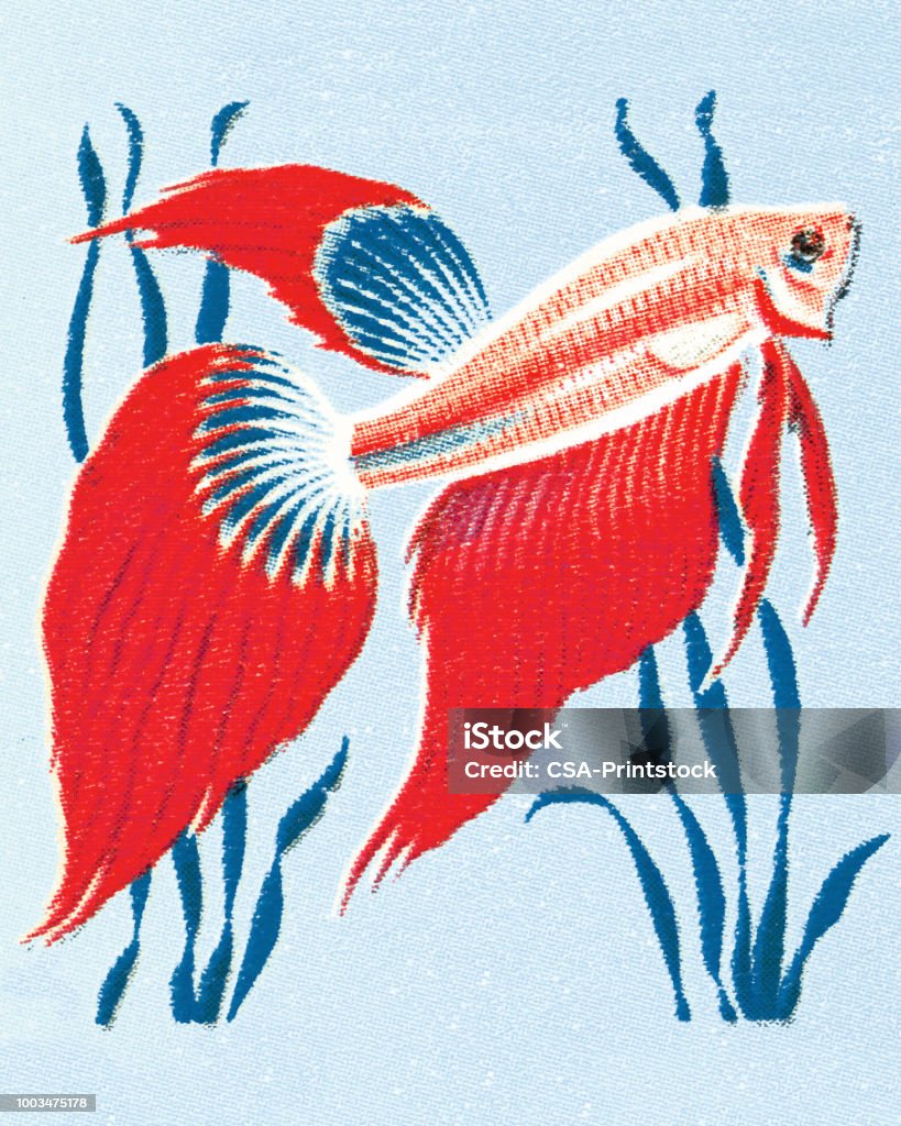 Fish Stock Imagine Fish Stock Illustration - Download Image Now - Fish, Animal, Animal Fin ...