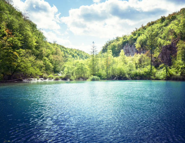 istock lake in forest of Croatia 1003475338